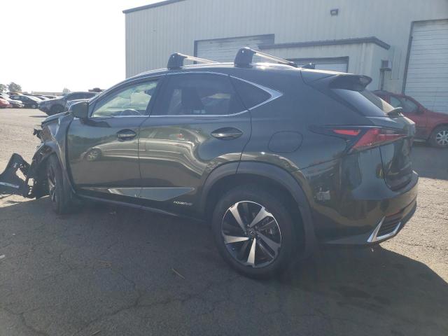 2021 LEXUS NX 300H BA JTJGJRDZ3M2161944