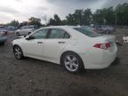 Lot #3296350145 2010 ACURA TSX