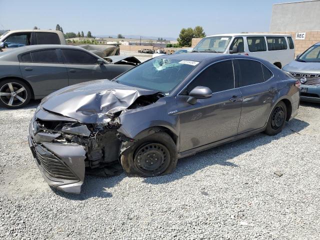 2019 TOYOTA CAMRY LE - 4T1B31HK4KU516896