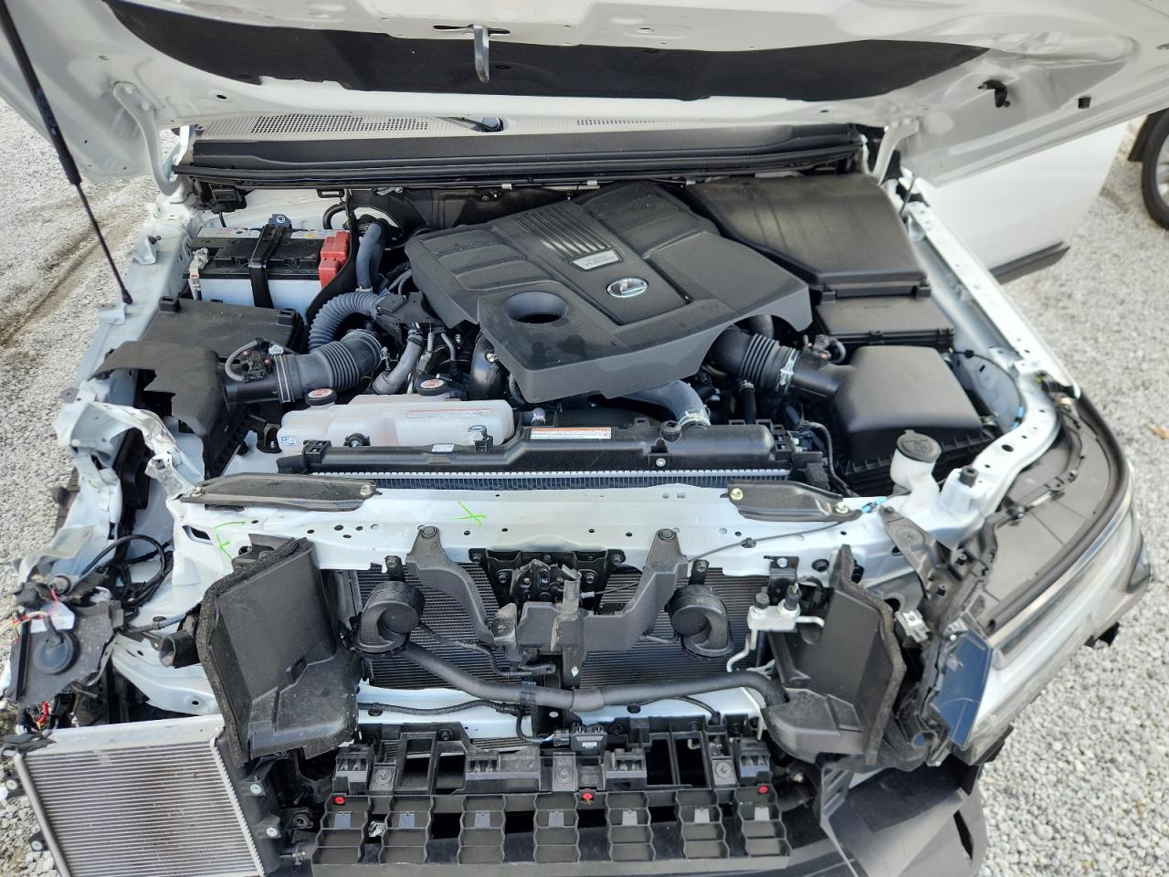 LEXUS GX 550 PREMIUM/PREMIUM+