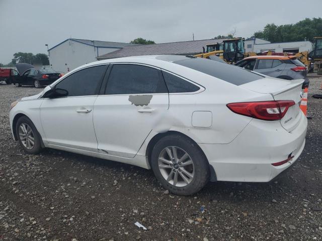 2016 HYUNDAI SONATA SE - 5NPE24AFXGH385249