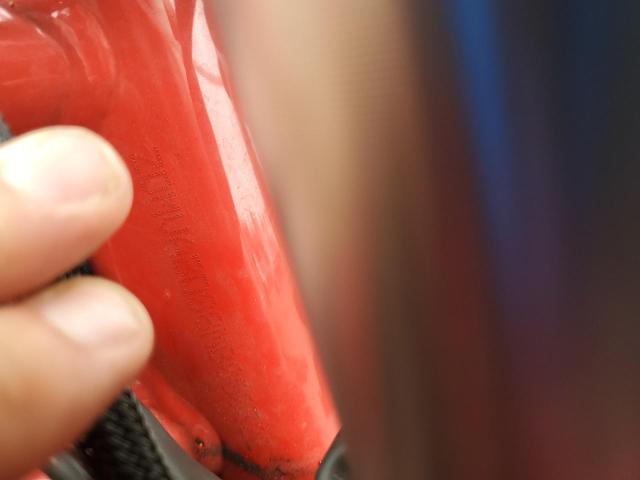 2021 DUCATI SUPERSPORT - ZDMVABDS8MB000322