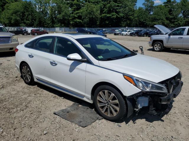 2016 HYUNDAI SONATA SPO - 5NPE34AF5GH426111