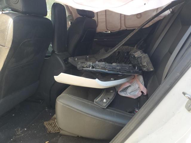 2024 GMC TERRAIN SL - 3GKALVEGXRL369810