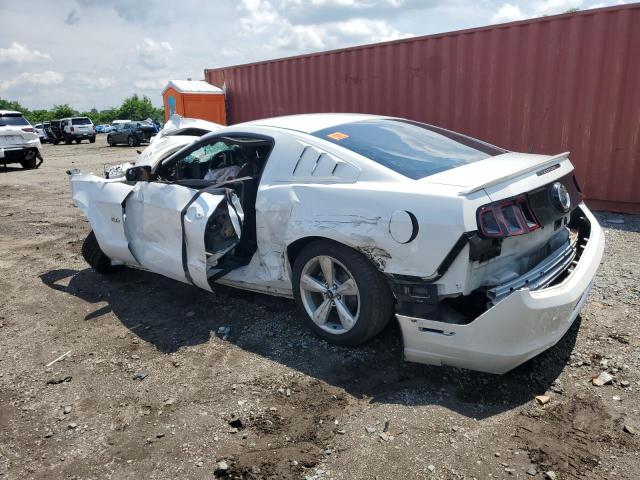 2014 FORD MUSTANG GT - 1ZVBP8CF9E5325577