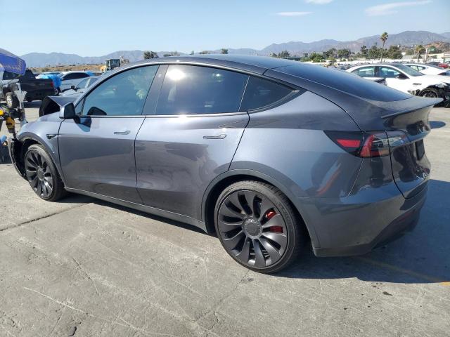 2023 TESLA MODEL Y 7SAYGDEF9PF603028