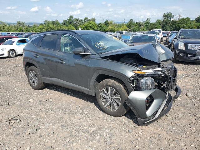 2024 HYUNDAI TUCSON BLU KM8JBCD10RU222641