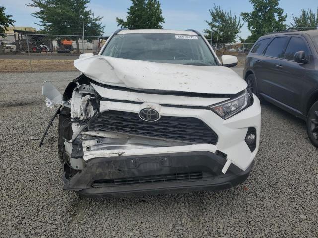 2019 TOYOTA RAV4 XLE P JTMA1RFV5KD515984