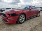 2019 FORD MUSTANG - 1FA6P8TH3K5142991