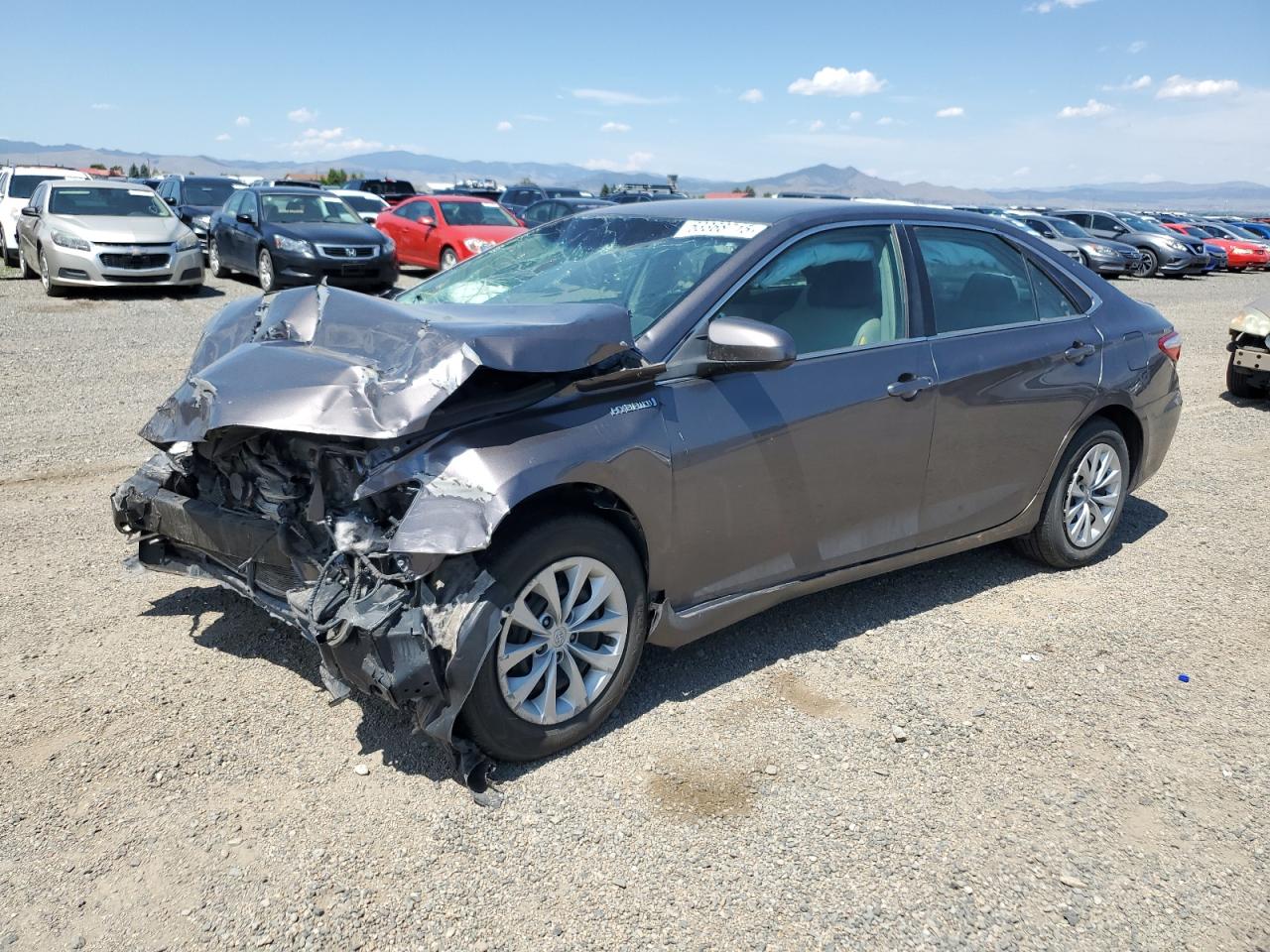 TOYOTA CAMRY HYBRID