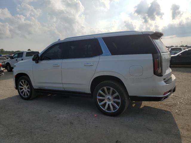 2023 CADILLAC ESCALADE P 1GYS4DKT4PR198609