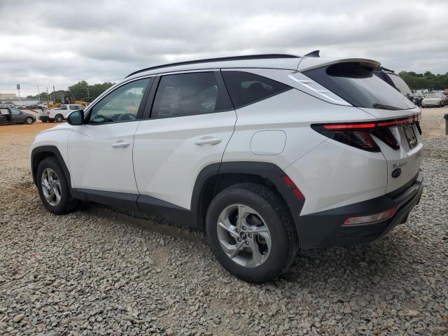 2023 HYUNDAI TUCSON SEL #3296261421