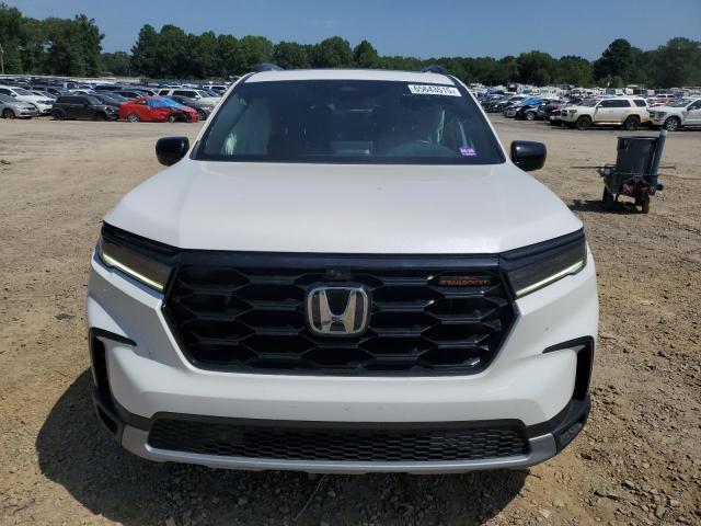 2023 HONDA PILOT TRAI 5FNYG1H64PB057407