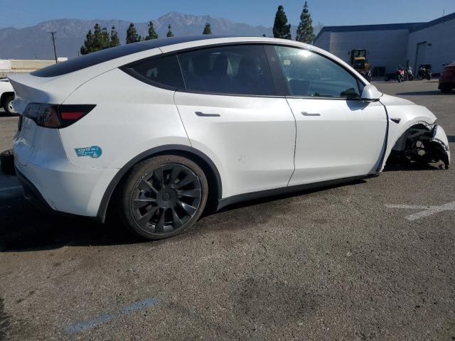 2024 TESLA MODEL Y 7SAYGDED1RF095591