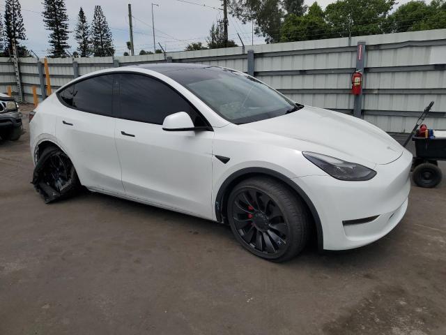 2023 TESLA MODEL Y 7SAYGDEF8PF665049