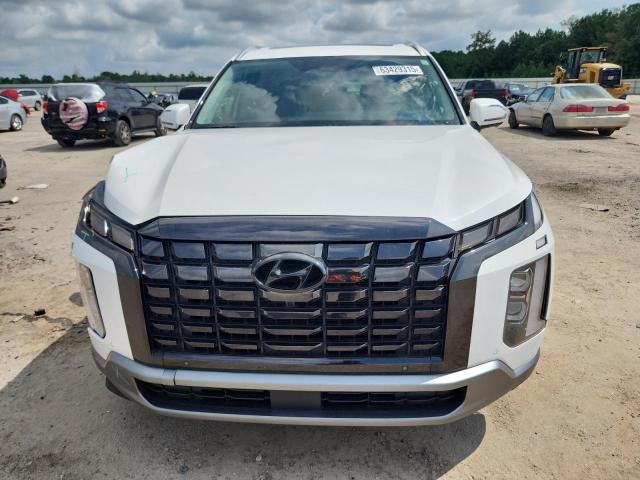 2023 HYUNDAI PALISADE KM8R44GE9PU521754