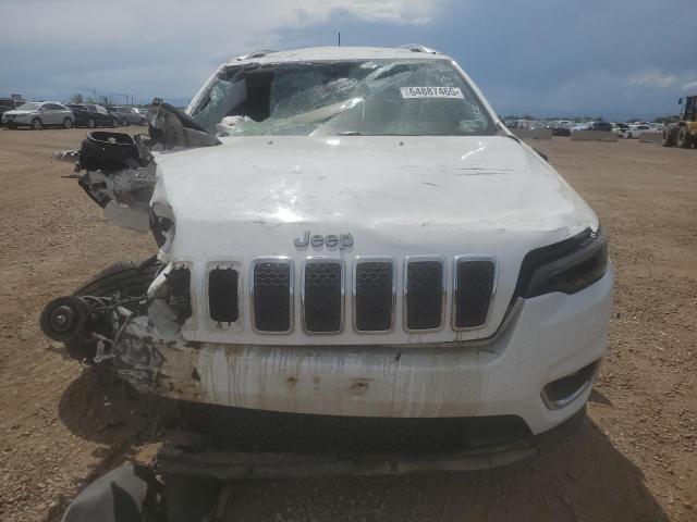 2019 JEEP CHEROKEE L 1C4PJMDN5KD123717
