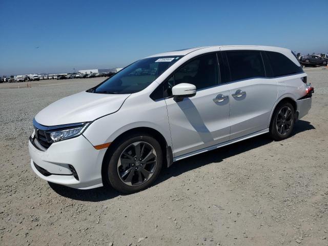 HONDA ODYSSEY EL