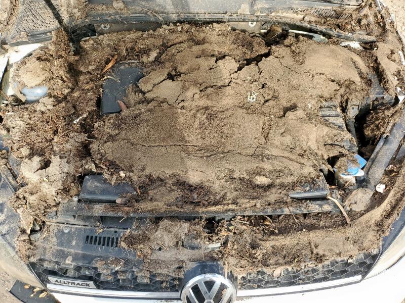 2017 VOLKSWAGEN GOLF ALLTR 3VWH17AU0HM511109