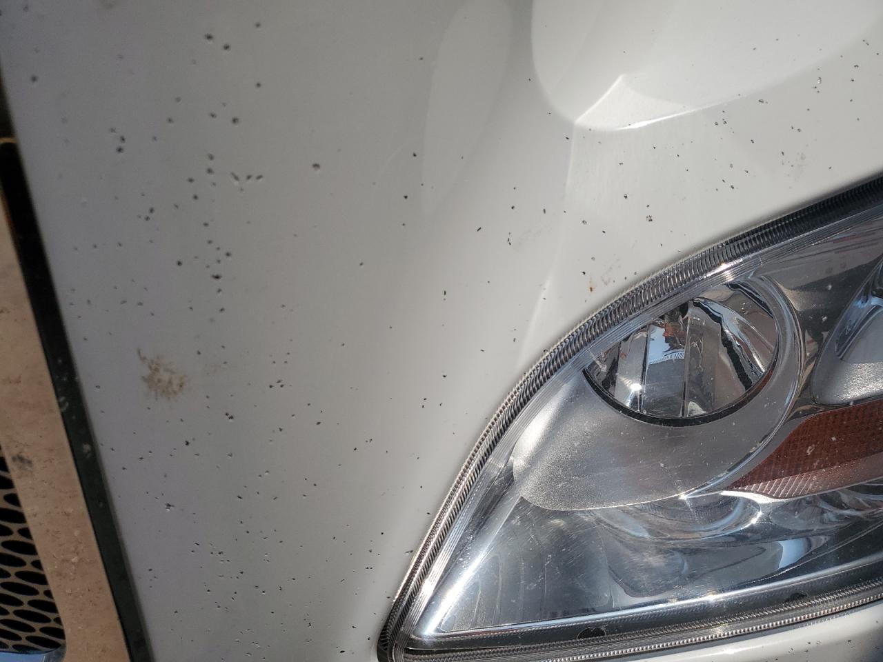 Lot #3316756426 2017 PETERBILT 579