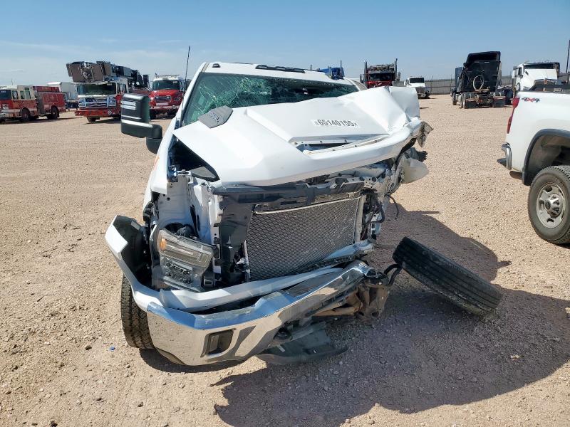 2024 CHEVROLET SILVERADO - 1GB1YNE71RF224456