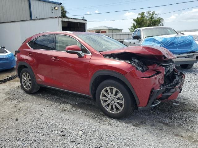 2021 LEXUS NX 300H BA JTJDJRDZ6M2167885