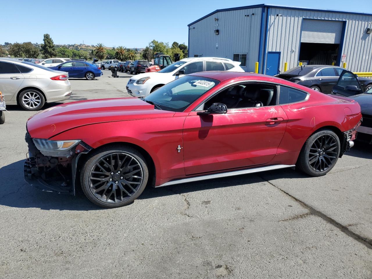FORD MUSTANG