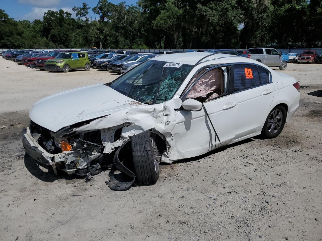 HONDA ACCORD SE