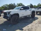 2024 TOYOTA TACOMA DOU - 3TYLB5JN7RT017889