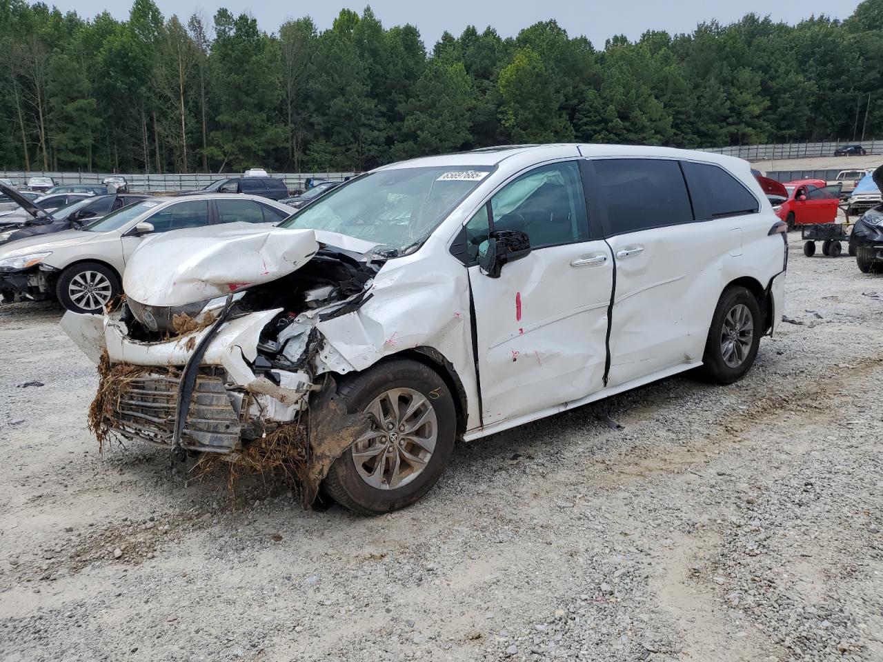 TOYOTA SIENNA XLE