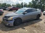 Top Destinations for Shipping Cars from the USA