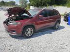 2019 JEEP CHEROKEE L - 1C4PJLCB7KD205269