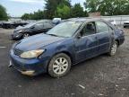 Top Destinations for Shipping Cars from the USA