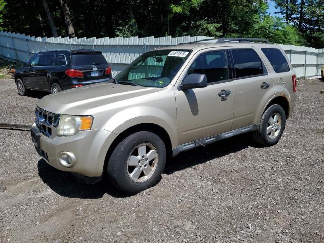 2011 FORD ESCAPE XLT - 1FMCU9DG8BKB99556