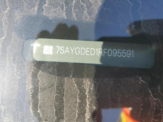 2024 TESLA MODEL Y 7SAYGDED1RF095591