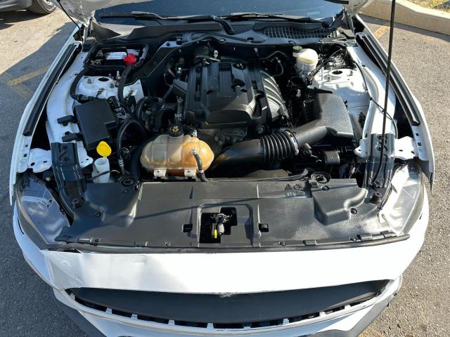 2019 FORD MUSTANG 1FA6P8TH7K5193930