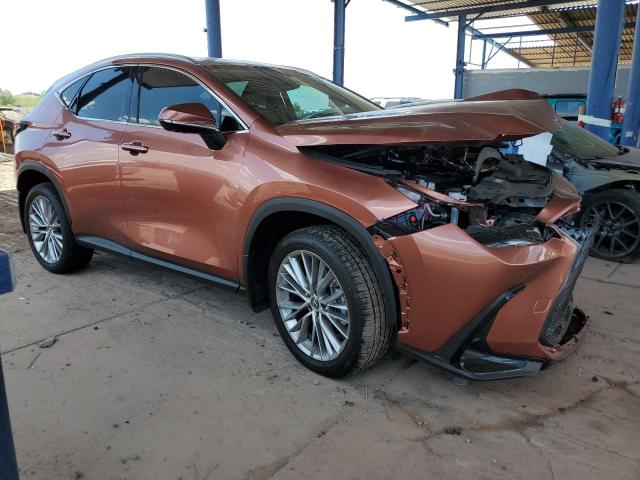 2025 LEXUS NX 350H BASE 2T2GKCEZ5SC033453
