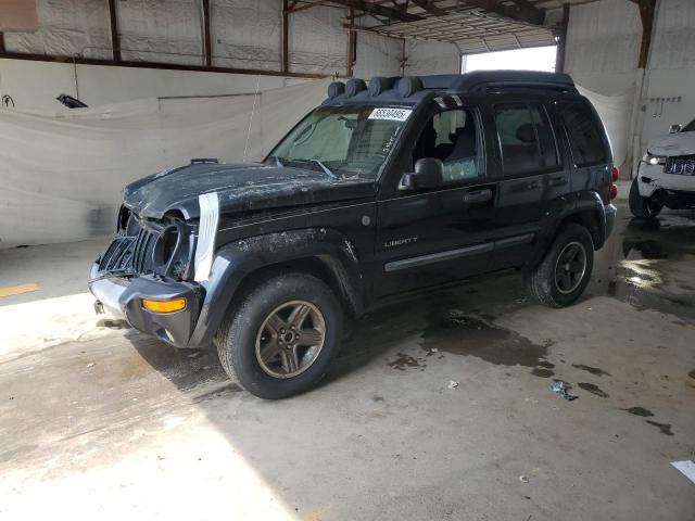 2004 JEEP LIBERTY RE #3281464997