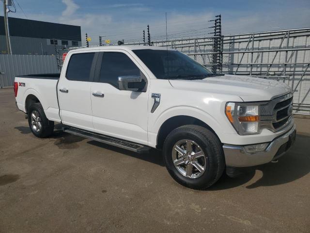 2021 FORD F150 SUPER - 1FTFW1E59MKD48649
