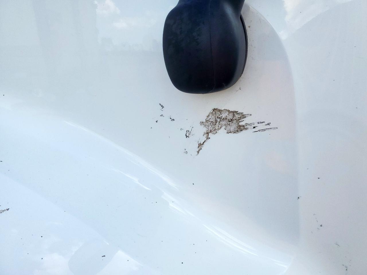 Lot #3303628928 2018 PETERBILT TRACTOR 579