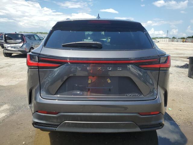 2023 LEXUS NX 250 2T2ADCAZ7PC005814