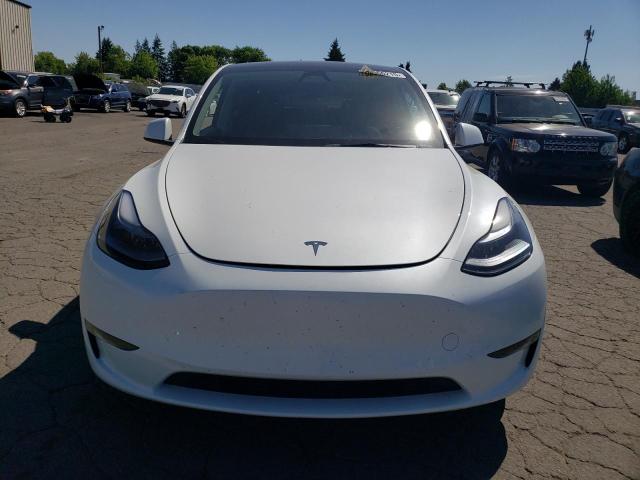 2025 TESLA MODEL Y 7SAYGDEE1SF286586