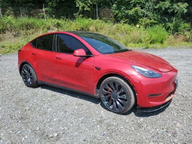 2023 TESLA MODEL Y 7SAYGDEF5PF947441