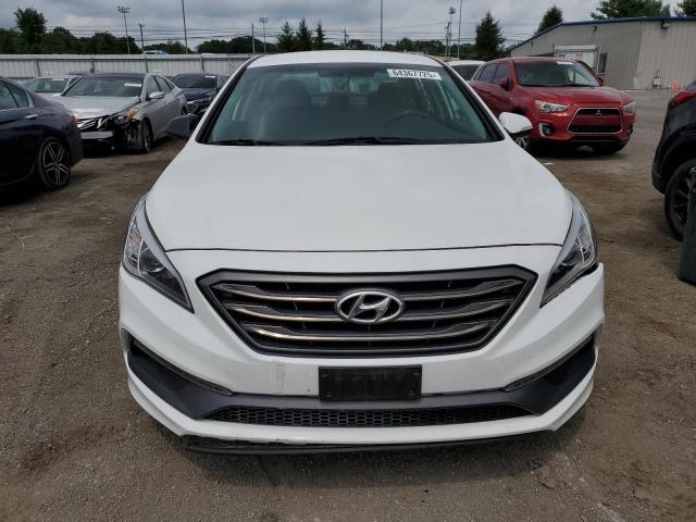 2016 HYUNDAI SONATA SPO 5NPE34AF5GH283161