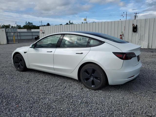 2023 TESLA MODEL 3 5YJ3E1EA3PF654007