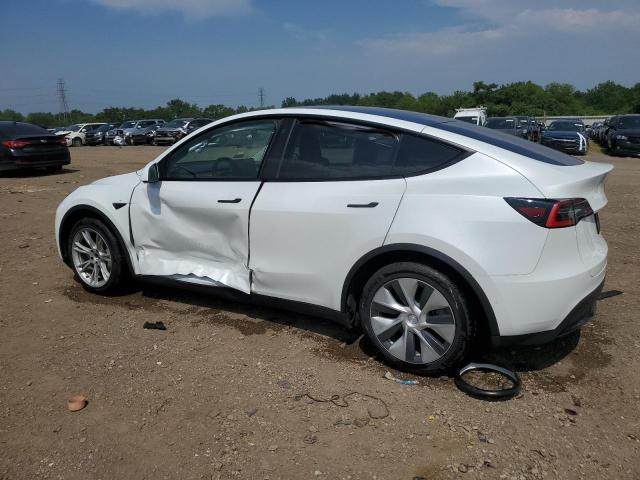 2021 TESLA MODEL Y 5YJYGDEE6MF117809
