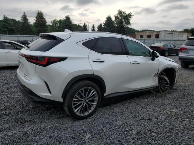 2022 LEXUS NX 350H 2T2GKCEZ1NC004648