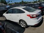 Lot #3296241420 2013 FORD FOCUS SE