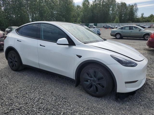 2024 TESLA MODEL Y 7SAYGDEEXRF162231