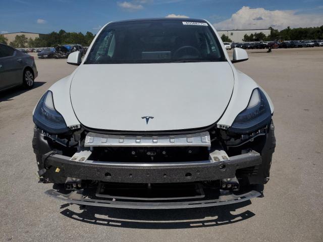 2023 TESLA MODEL Y 7SAYGDEE1PA069298
